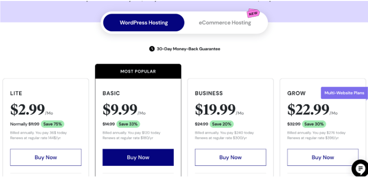 Elementor Hosting – 75% OFF