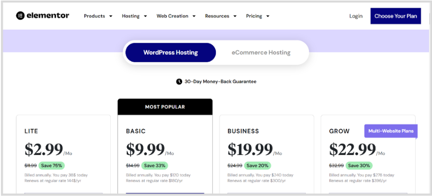 Word Press Hosting