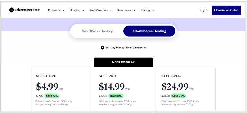 eCommerce Hosting 